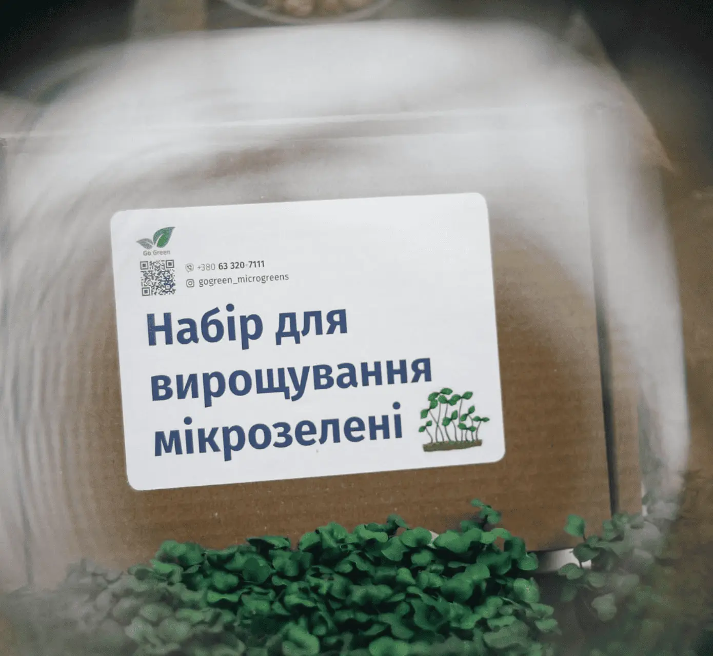 A box of microgreens for sell, while at a fair fest, with a set of growing microgreens in front, the label is designed by me. A closer look